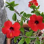 Atlas 3*