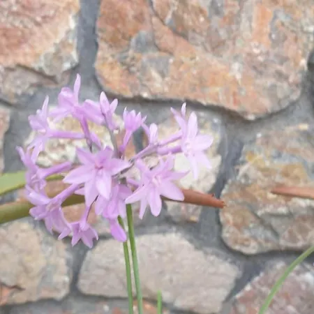 Atlas Penzion Karterados (Santorini)