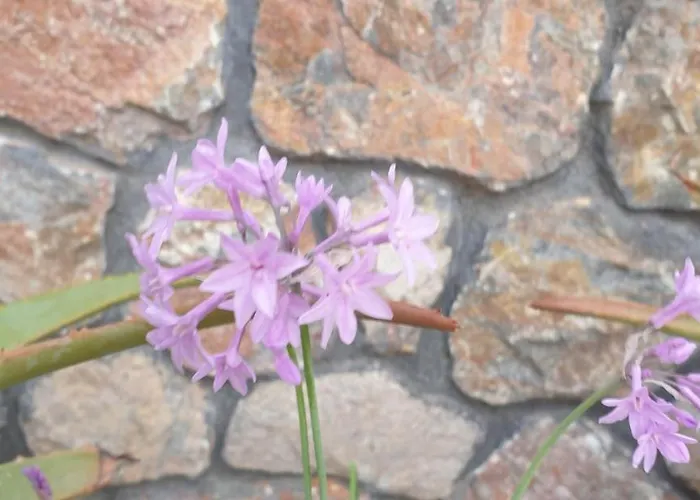 Atlas Maison d'hôtes Karterados (Santorini)